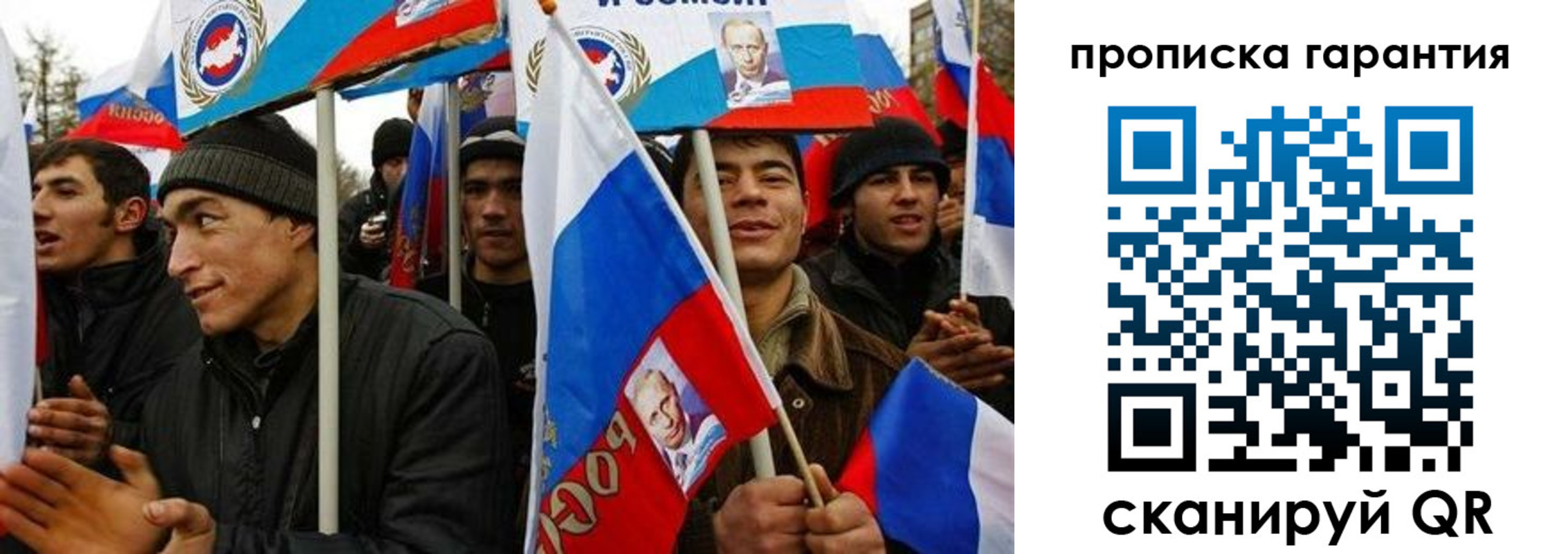 прописка поиск в Бородино
